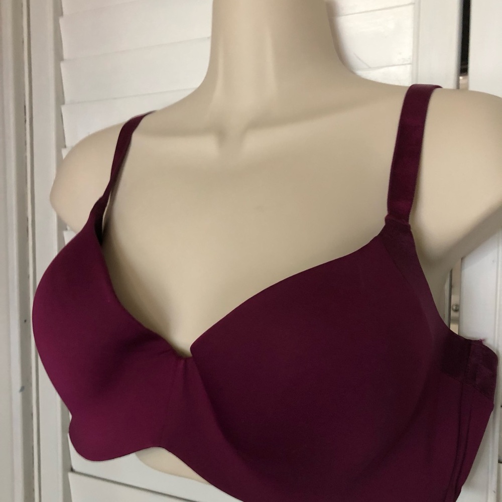 Burgundy Padded Bra 1X